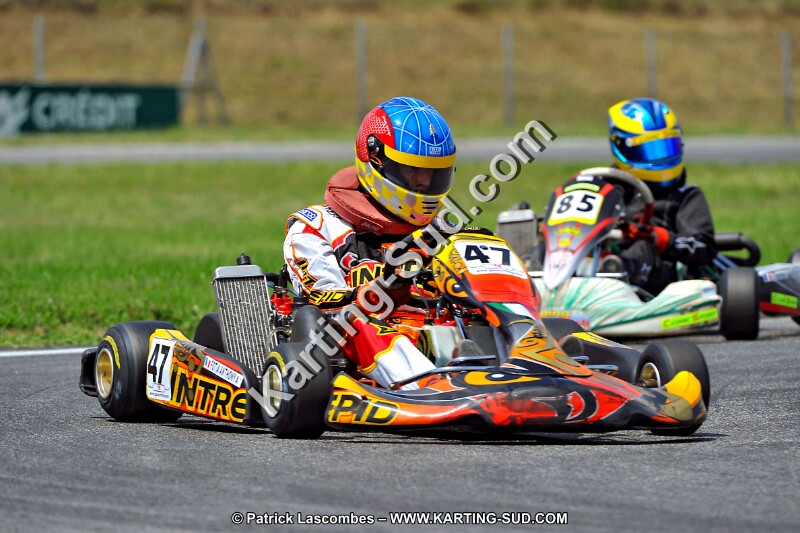 DSC_ (230).jpg